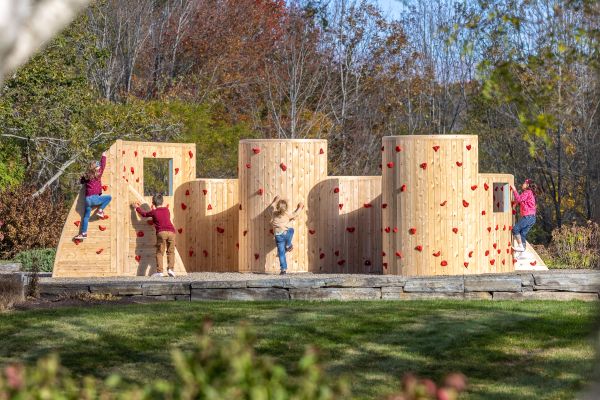 Wood playset with slide, ramp, swings, and more
