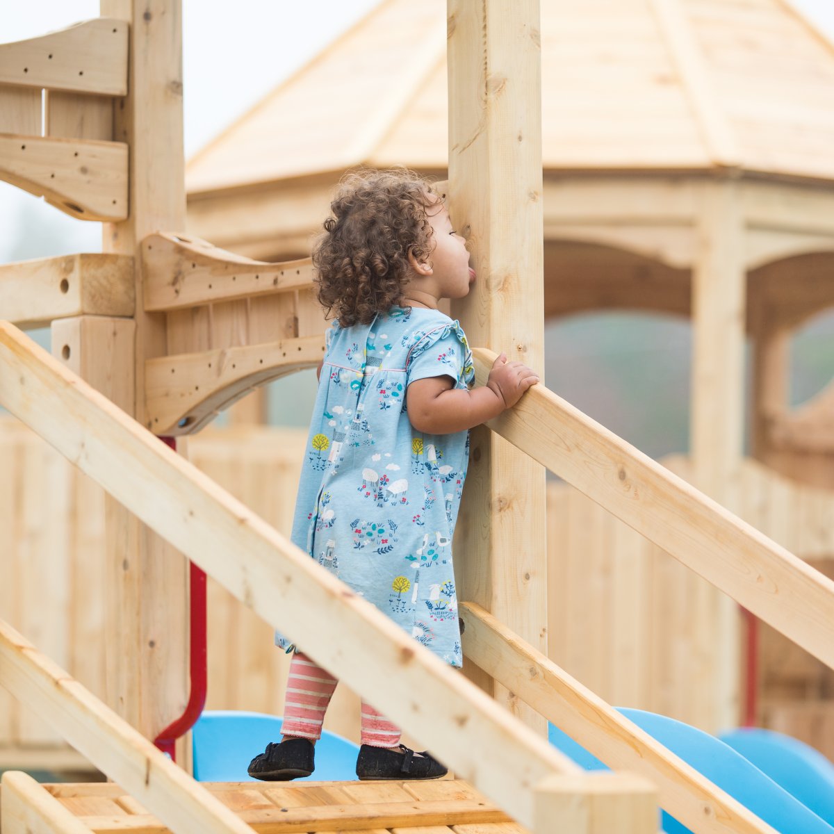 Commercial Outdoor Playsets for Ages 2 to 12 CedarWorks Commercial